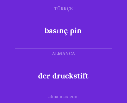 basınç pin - der druckstift