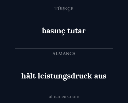 hält leistungsdruck aus - basınç tutar