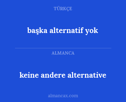 başka alternatif yok - keine andere alternative