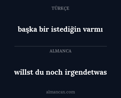 willst du noch irgendetwas - başka bir istediğin varmı