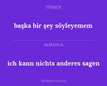 ich kann nichts anderes sagen - başka bir şey söyleyemem