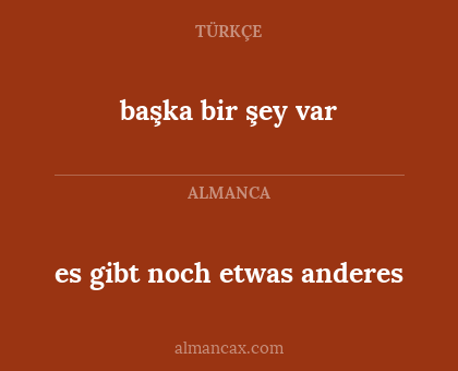 başka bir şey var - es gibt noch etwas anderes