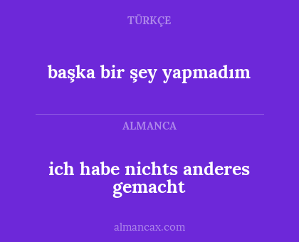 başka bir şey yapmadım - ich habe nichts anderes gemacht