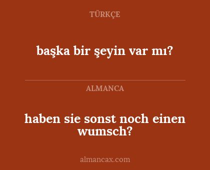 haben sie sonst noch einen wumsch? - başka bir şeyin var mı?