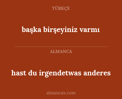hast du irgendetwas anderes - başka birşeyiniz varmı