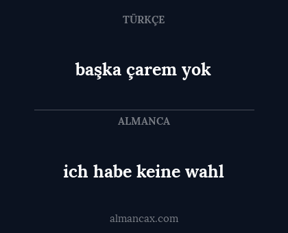 başka çarem yok - ich habe keine wahl