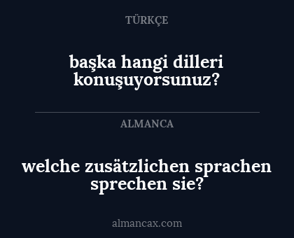 welche zusätzlichen sprachen sprechen sie? - başka hangi dilleri konuşuyorsunuz?