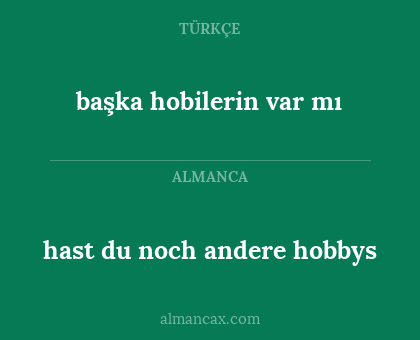 hast du noch andere hobbys - başka hobilerin var mı
