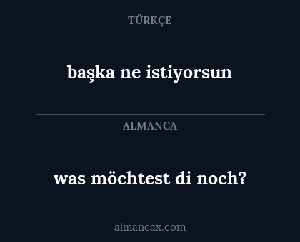başka ne istiyorsun - was möchtest di noch?