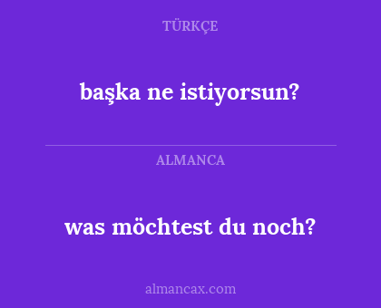 başka ne istiyorsun? - was möchtest du noch?