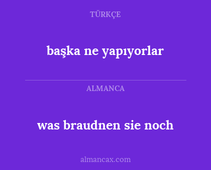 was braudnen sie noch - başka ne yapıyorlar