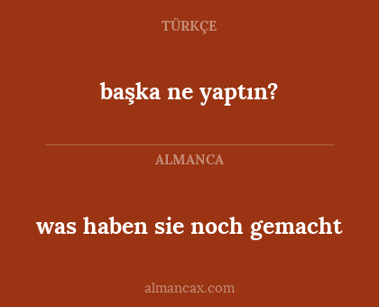 was haben sie noch gemacht - başka ne yaptın?