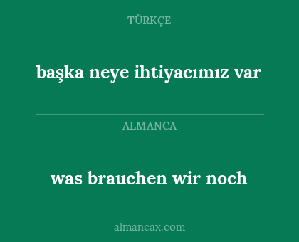 başka neye ihtiyacımız var - was brauchen wir noch
