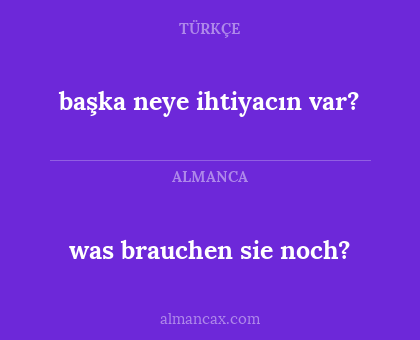 başka neye ihtiyacın var? - was brauchen sie noch?
