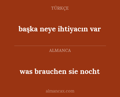 was brauchen sie nocht - başka neye ihtiyacın var