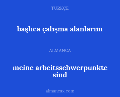 başlıca çalışma alanlarım - meine arbeitsschwerpunkte sind