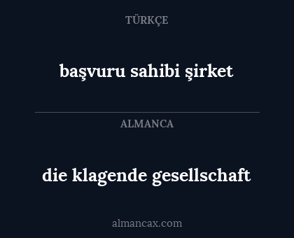 başvuru sahibi şirket - die klagende gesellschaft