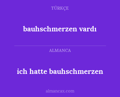 ich hatte bauhschmerzen - bauhschmerzen vardı