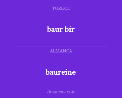 baur bir - baureine