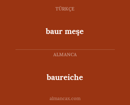baureiche - baur meşe