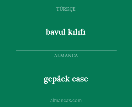 gepäck case - bavul kılıfı