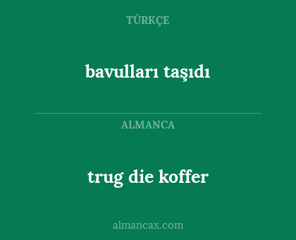 bavulları taşıdı - trug die koffer