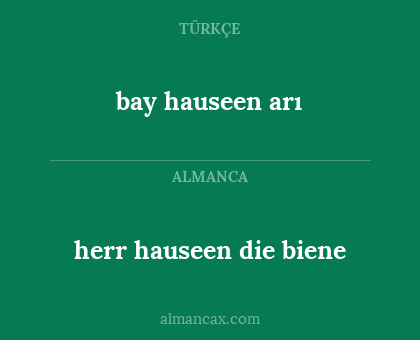 herr hauseen die biene - bay hauseen arı