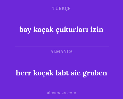 herr koçak labt sie gruben - bay koçak çukurları izin