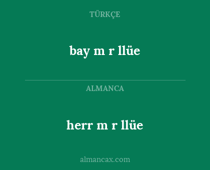 herr m r llüe - bay m r llüe