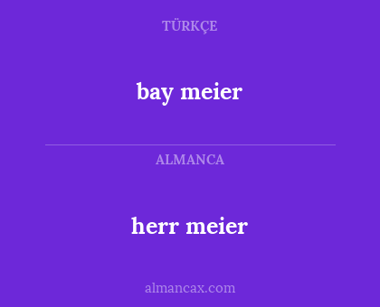 bay meier - herr meier