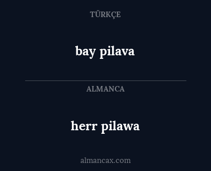 bay pilava - herr pilawa
