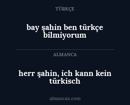 herr şahin, ich kann kein türkisch - bay şahin ben türkçe bilmiyorum