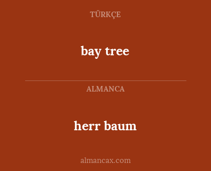 bay tree - herr baum