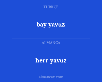 bay yavuz - herr yavuz