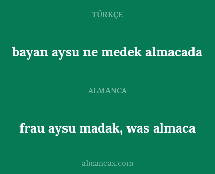 frau aysu madak, was almaca - bayan aysu ne medek almacada