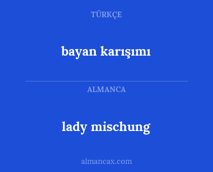 lady mischung - bayan karışımı