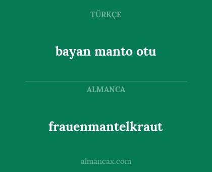 bayan manto otu - frauenmantelkraut