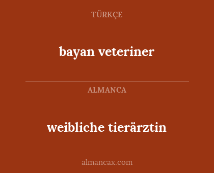 weibliche tierärztin - bayan veteriner
