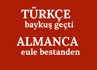 bayku%C5%9F+ge%C3%A7ti-eule+bestanden.png