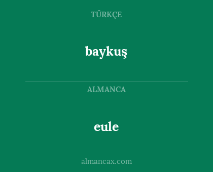 eule - baykuş