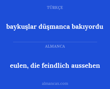 eulen, die feindlich aussehen - baykuşlar düşmanca bakıyordu
