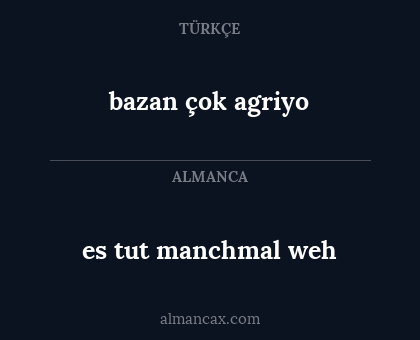 es tut manchmal weh - bazan çok agriyo