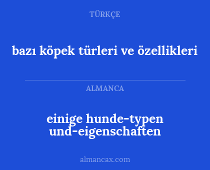 einige hunde-typen und-eigenschaften - bazı köpek türleri ve özellikleri
