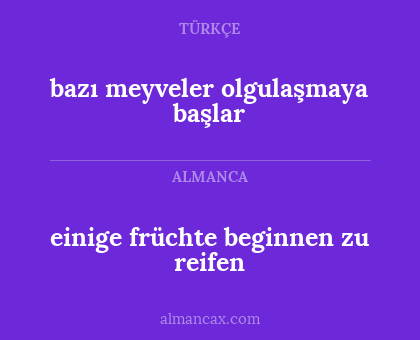 einige früchte beginnen zu reifen - bazı meyveler olgulaşmaya başlar