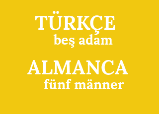 be%C5%9F+adam-f%C3%BCnf+m%C3%A4nner.png