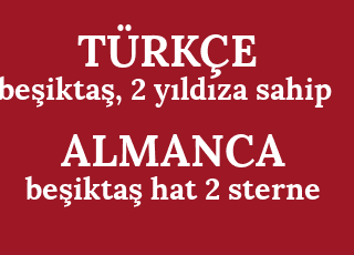 be%C5%9Fikta%C5%9F%2C+2+y%C4%B1ld%C4%B1za+sahip-be%C5%9Fikta%C5%9F+hat+2+sterne.png