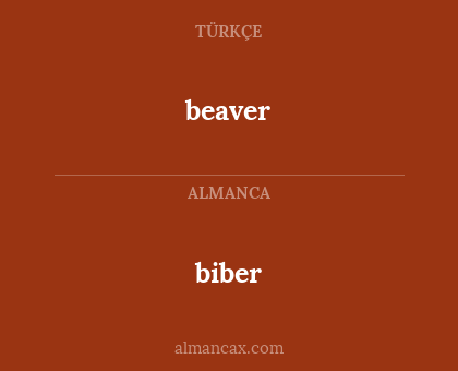 biber - beaver