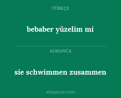 sie schwimmen zusammen - bebaber yüzelim mi