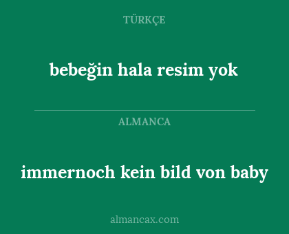 immernoch kein bild von baby - bebeğin hala resim yok