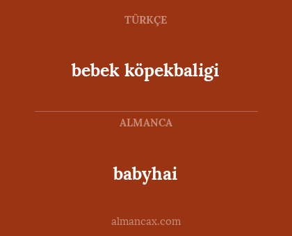 babyhai - bebek köpekbaligi